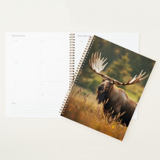 Handsome Moose Planner Planer (Anzeige)