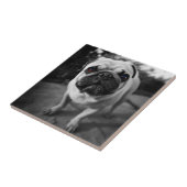 Handsome Mops Fliese (Seite)