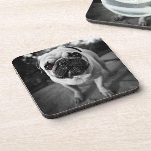 Handsome Mops Getränkeuntersetzer (Linke Seite)