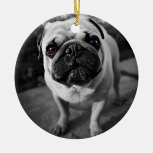 Handsome Mops Keramikornament (Vorne)
