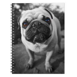 Handsome Mops Notizblock