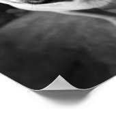 Handsome Mops Poster (Ecke)