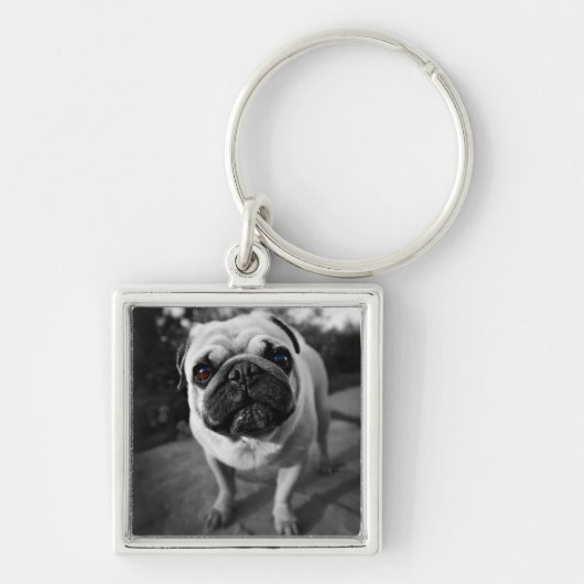 Handsome Mops Schlüsselanhänger (Vorne)