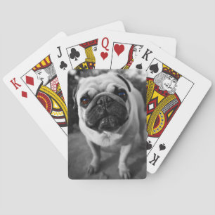 Handsome Mops Spielkarten