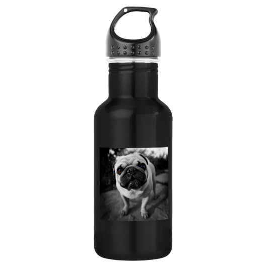 Handsome Mops Trinkflasche (Vorderseite)