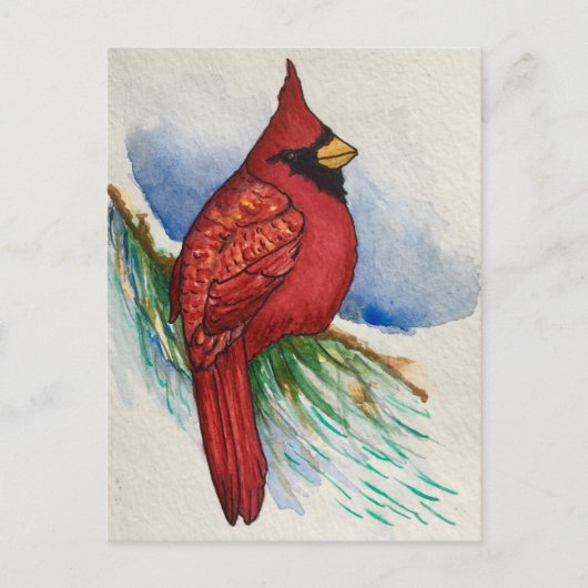Handsome Northern Kardinal Red Bird Postkarte (Vorderseite)