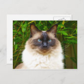 Handsome Oscar Postkarte (Vorne/Hinten)