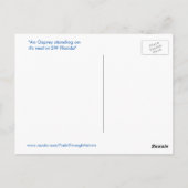 Handsome Osprey Hawk Nest Postcard Postkarte (Rückseite)