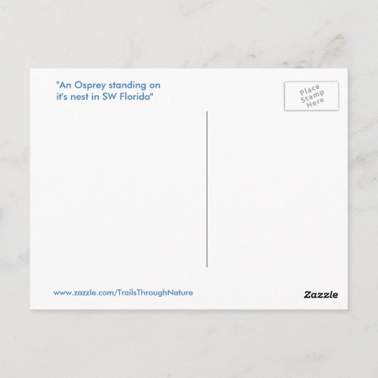 Handsome Osprey Hawk Nest Postcard Postkarte (Rückseite)