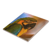 Handsome Parrot Tile Fliese (Seite)