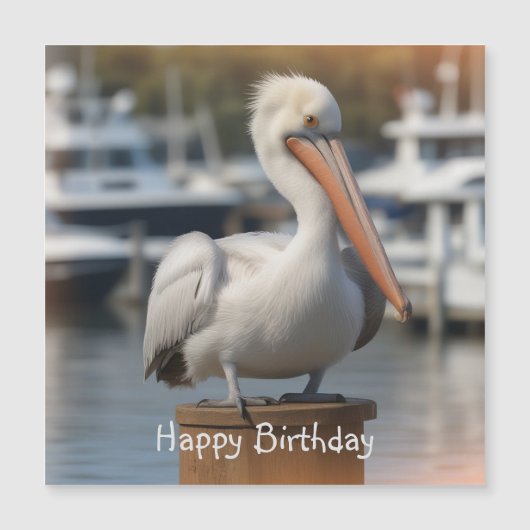 Handsome Pelican Birthday Magnetic Card Magnetkarte (Vorderseite)