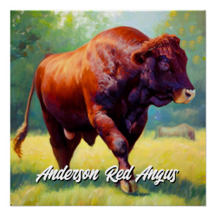 Handsome Red Angus Bull Poster