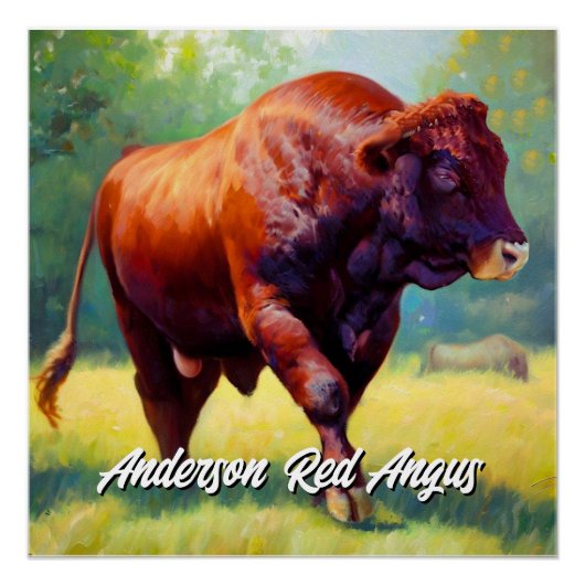 Handsome Red Angus Bull Poster (Vorderseite)