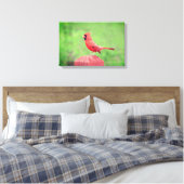 Handsome Red Kardinal Bird Leinwanddruck (Insitu (Schlafzimmer))