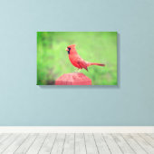 Handsome Red Kardinal Bird Leinwanddruck (Insitu (Holzboden))