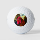 Handsome Rooster Golfball (Vorderseite)