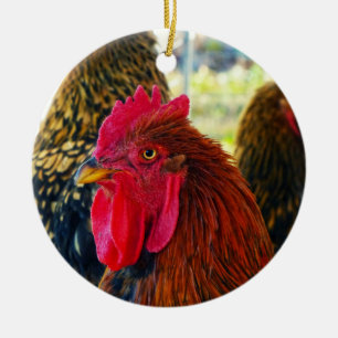 Handsome Rooster Keramik Ornament