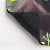 Handsome Schokolade Labrador Retriever Jagdhund Mousepad (Ecke)