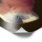 Handsome Shire Draft Horse Face 8x10 Fotodruck (Ecke)