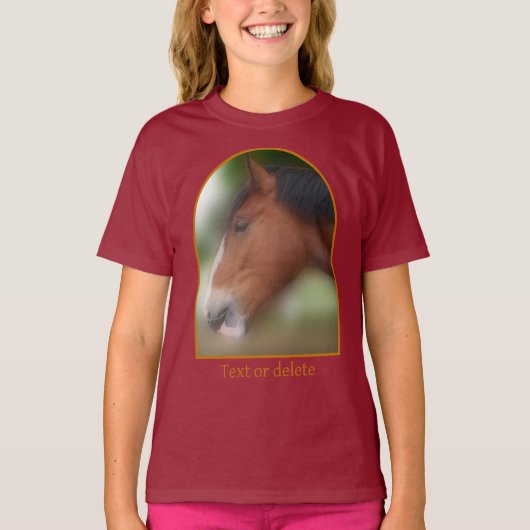 Handsome Shire Draft Horse Personalized T-Shirt (Vorderseite)