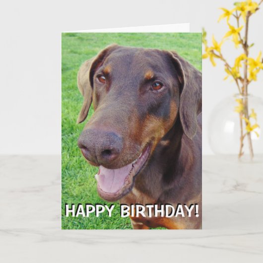 Handsome smiling red doberman karte (Gelbe Blume)