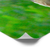 Handsome Stallhuhn Poster (Ecke)