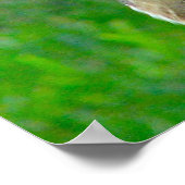 Handsome Stallhuhn Poster (Ecke)