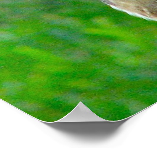 Handsome Stallhuhn Poster (Ecke)