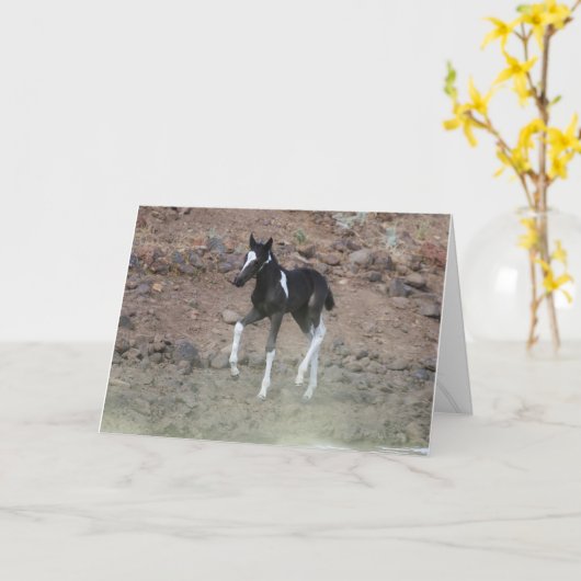 Handsome Wild Colt Folding Card Karte (Gelbe Blume)