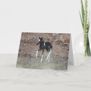 Handsome Wild Colt Folding Card Karte