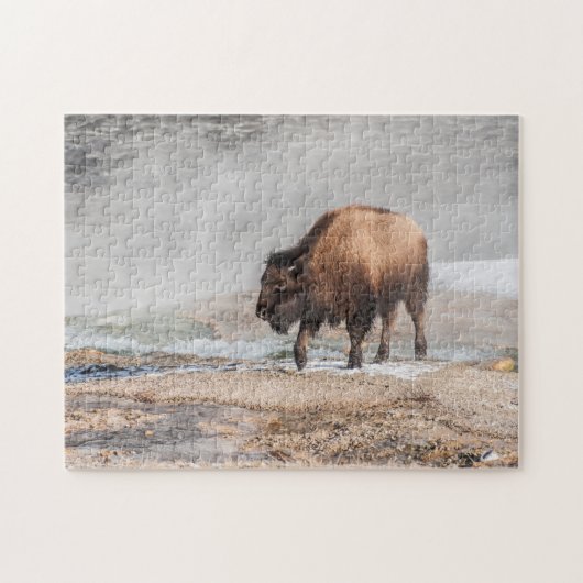 Handsome Young Bison oder Buffalo Puzzle (Horizontal)