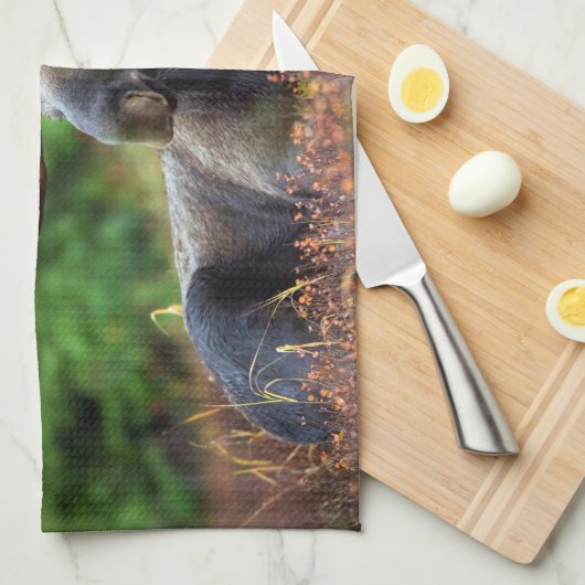 Handtuch (Viertel Falte)