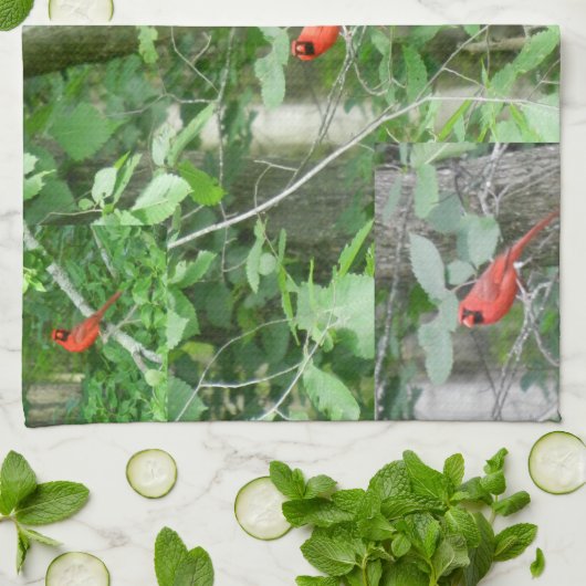 Handtuch aus dem RED-KARDINAL (Gefaltet)