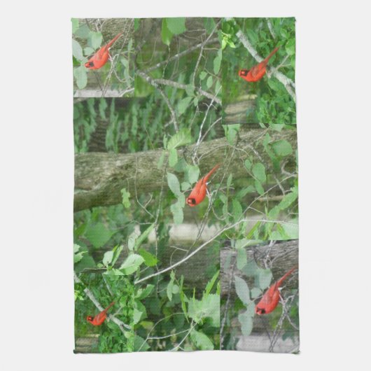 Handtuch aus dem RED-KARDINAL (Vertikal)