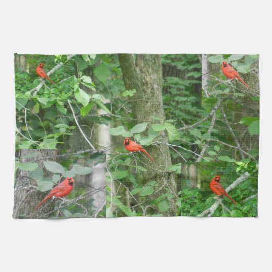 Handtuch aus dem RED-KARDINAL (Horizontal)