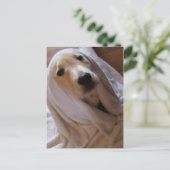 Handtuchdaten Postkarte (Stehend Vorderseite)