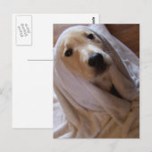 Handtuchdaten Postkarte (Vorne/Hinten)