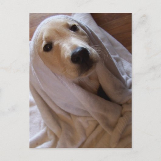 Handtuchdaten Postkarte (Vorderseite)