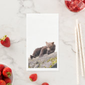 Handtücher für Grizzlybären Serviette (Beispiel)