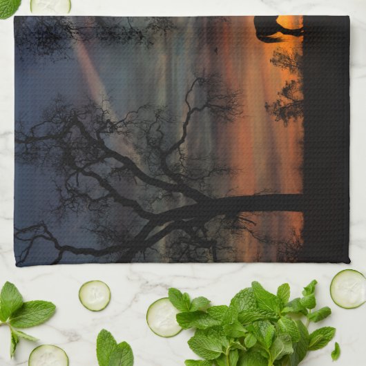 Handtücher für Pferde (Gefaltet)