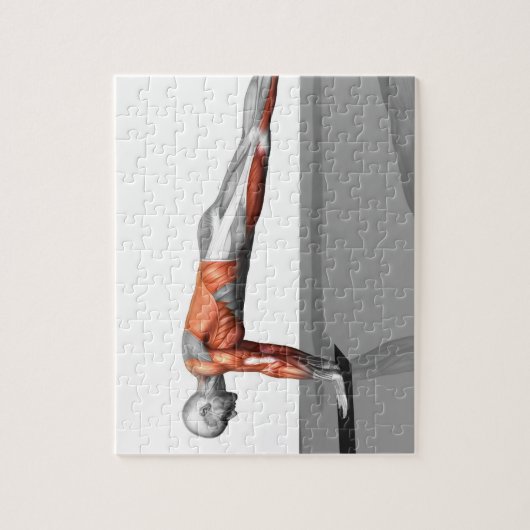 Handtuchfliege 3 puzzle (Vertikal)