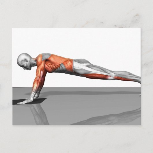 Handtuchfliege Postkarte (Vorderseite)