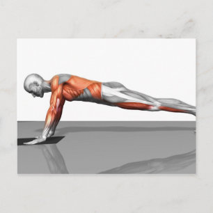 Handtuchfliege Postkarte