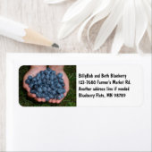 Handvoll frischer Blaubeeren (Insitu)