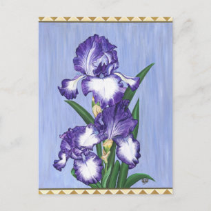 Handwerker Lila Iris Postcard Postkarte