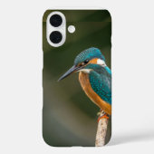 Handy-Gehäuse Case-Mate iPhone Hülle (Rückseite)