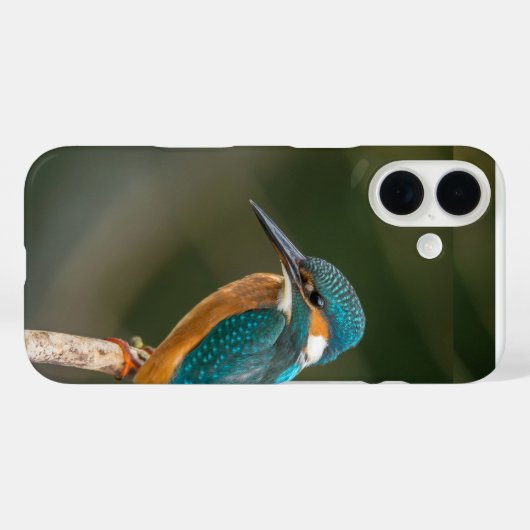 Handy-Gehäuse Case-Mate iPhone Hülle (Rückseite (Horizontal))