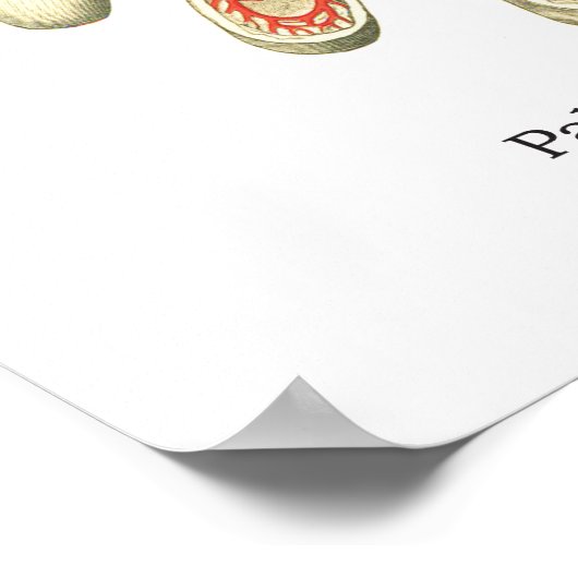 Handy & Handgelenk Internes Anatomie-Poster Poster (Ecke)