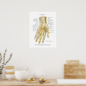 Handy & Handgelenk Internes Anatomie-Poster Poster (Küche)