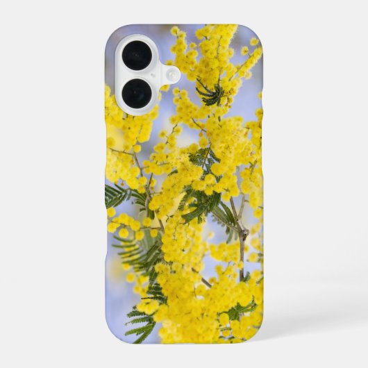 Handyhülle iPhone 16 Hülle (Rückseite)